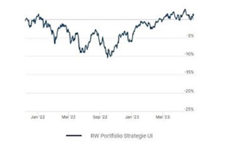 Wertentwicklung RW Portfolio